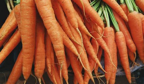 ce sunt utile blaturile de morcovi pentru varice